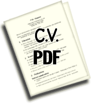 PDF download of my CV