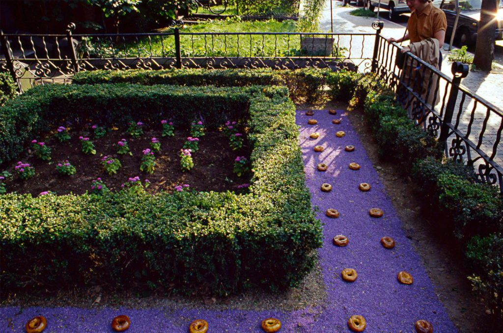 a photo of "Bagel Garden"; hedges, a path of purple gravel, landscape bagels